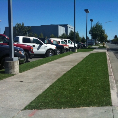 Artificial Grass Installation Beverly Hills, California Home And Garden, Commercial Landscape