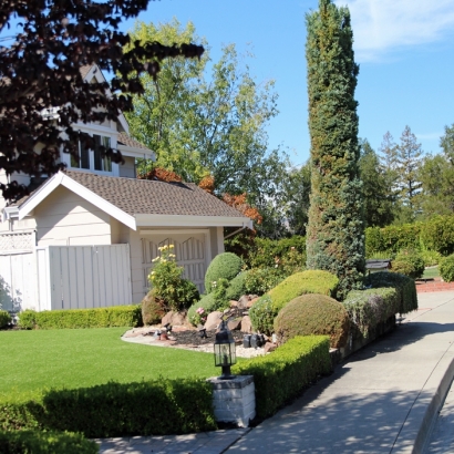 Artificial Grass Installation McKittrick, California Landscaping Business, Front Yard Landscaping