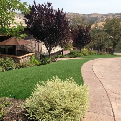 Artificial Grass Monrovia, California Landscape Rock, Front Yard Landscaping