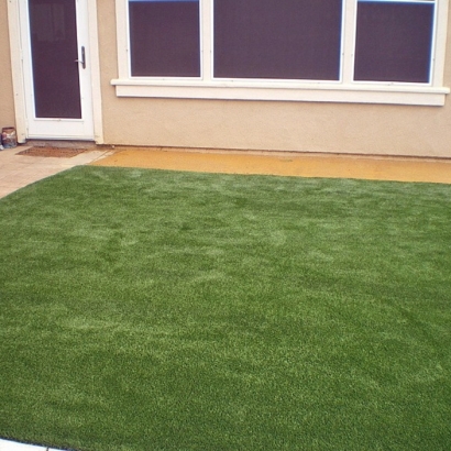 Artificial Lawn El Segundo, California Lawn And Landscape, Backyard Landscaping Ideas