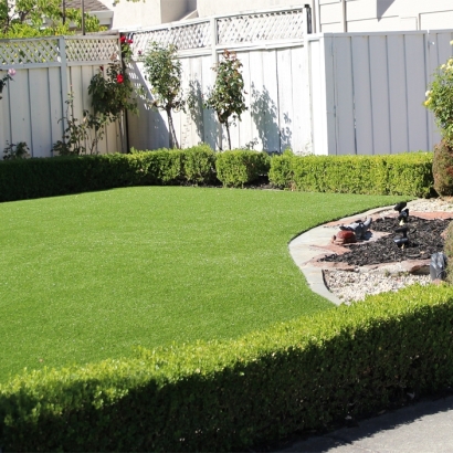 Artificial Lawn Greenfield, California Roof Top, Front Yard