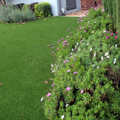 Artificial Lawn Westmont, California Landscape Ideas, Front Yard Landscape Ideas