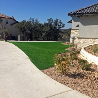 Artificial Turf Ballard, California Landscape Photos, Small Front Yard Landscaping