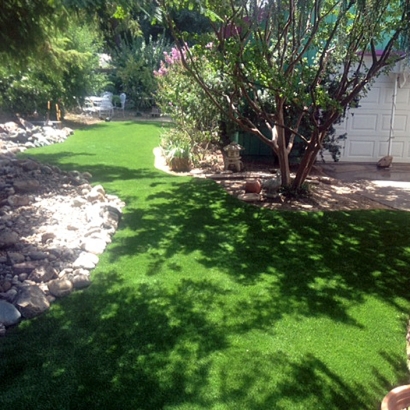 Artificial Turf Cost San Dimas, California Lawn And Garden, Backyard Design