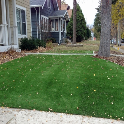 Artificial Turf Industry, California City Landscape, Front Yard Landscaping Ideas