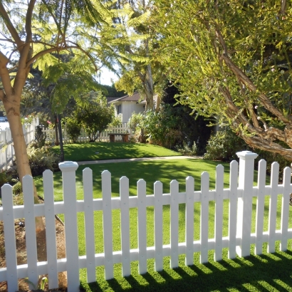 Artificial Turf Malibu Beach, California Roof Top, Front Yard Landscape Ideas