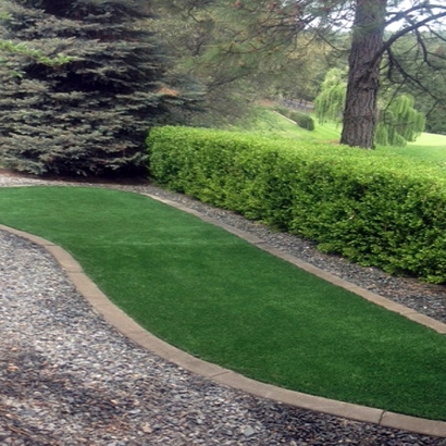 Artificial Turf San Antonio Heights, California Lawns