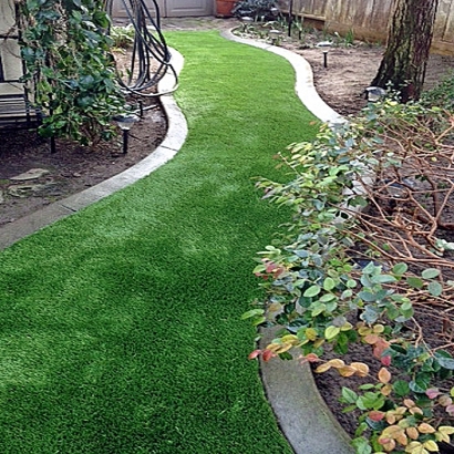 Artificial Turf Temple City, California Landscape Photos, Backyard Ideas