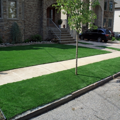 Best Artificial Grass Garden Grove, California Home And Garden, Front Yard Ideas