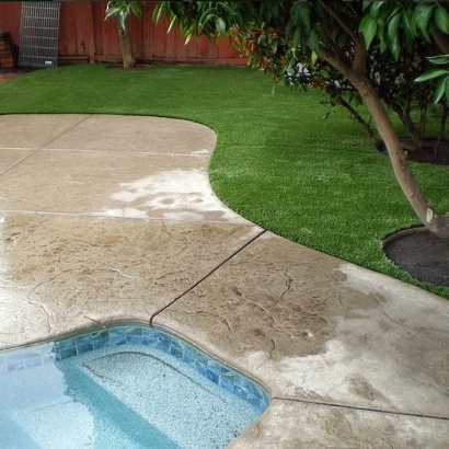 Best Artificial Grass Willowbrook, California Landscape Design, Backyard Landscape Ideas