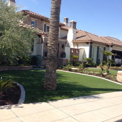 Fake Grass Carpet Bakersfield, California Landscape Design, Front Yard Landscape Ideas