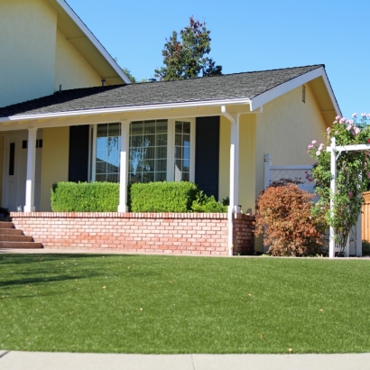 Fake Grass Carpet North El Monte, California Backyard Deck Ideas, Landscaping Ideas For Front Yard