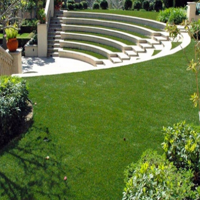 Fake Grass Carpet Pismo Beach, California Gardeners