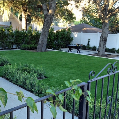 Fake Grass Hermosa Beach, California Backyard Playground, Front Yard Ideas