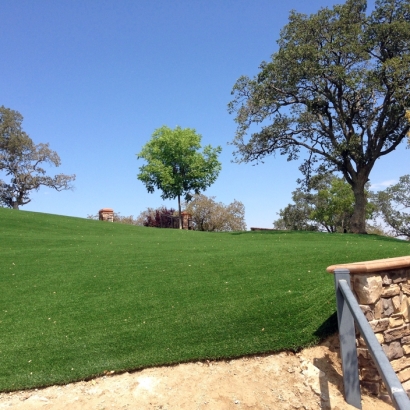 Fake Grass Lakewood, California Landscaping Business, Front Yard Ideas