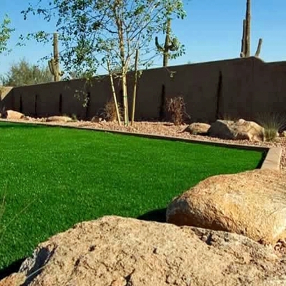 Fake Grass Montebello, California Landscape Ideas, Backyard