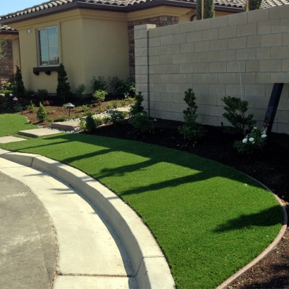 Fake Lawn Lompoc, California Landscaping Business, Front Yard Landscape Ideas