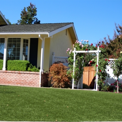 Fake Lawn Los Alamos, California Lawn And Garden, Small Front Yard Landscaping