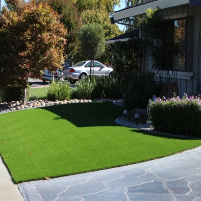 Fake Turf East Pasadena, California Home And Garden, Front Yard