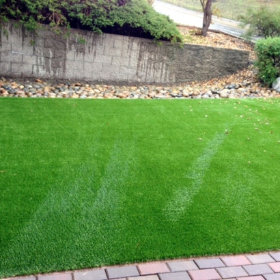 Fake Turf Summerland, California Landscape Ideas, Small Front Yard Landscaping