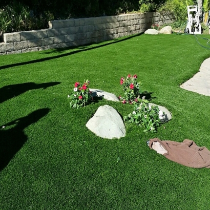 Faux Grass Acton, California Garden Ideas, Small Front Yard Landscaping