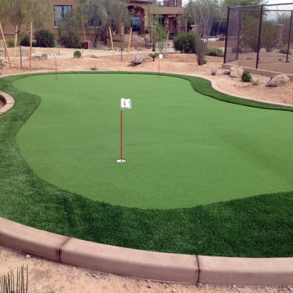 Faux Grass Castaic, California Artificial Putting Greens, Backyard Landscaping