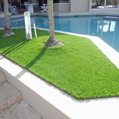 Faux Grass San Fernando, California Home And Garden, Pool Designs