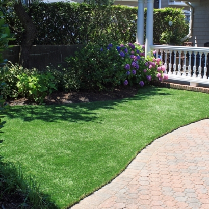 Faux Grass Santa Monica, California Landscape Design, Front Yard Ideas