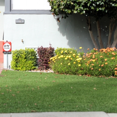 Faux Grass Santa Monica, California Lawn And Landscape, Front Yard Landscaping