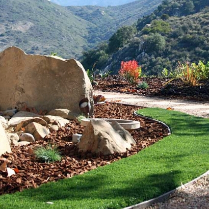 Grass Carpet Cudahy, California Gardeners, Front Yard Landscaping Ideas