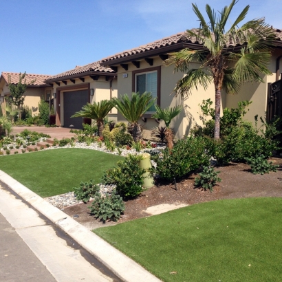 Grass Carpet Edmundson Acres, California Garden Ideas, Front Yard Landscaping