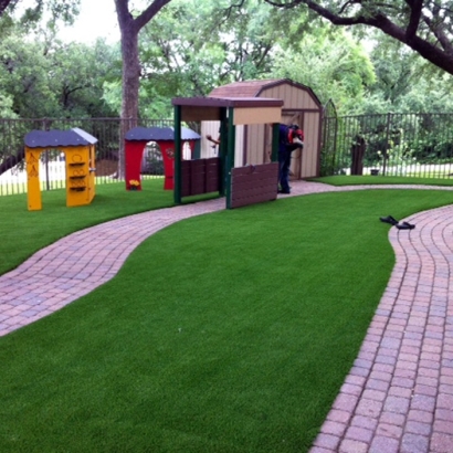 Grass Carpet Fellows, California City Landscape, Commercial Landscape