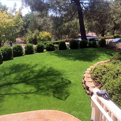 Grass Carpet La Verne, California Landscape Photos, Backyard Designs