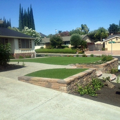 Grass Carpet Mojave, California Gardeners, Front Yard Ideas