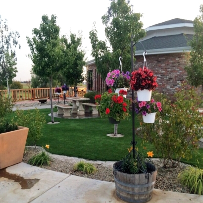 Grass Turf Burbank, California Garden Ideas, Commercial Landscape