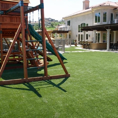 Green Lawn Lomita, California Roof Top, Backyard Garden Ideas