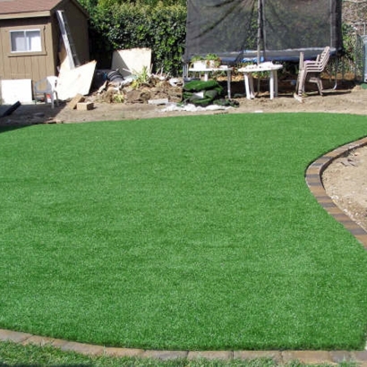 Green Lawn South Taft, California Design Ideas, Backyard Landscaping