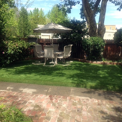 Installing Artificial Grass Arroyo Grande, California Backyard Playground, Small Backyard Ideas