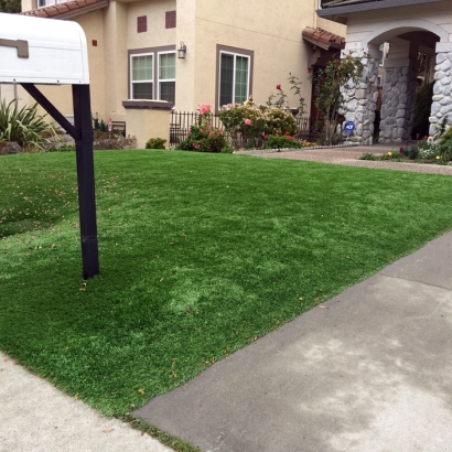 Installing Artificial Grass Century City, California Design Ideas, Front Yard Ideas