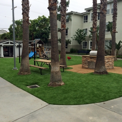 Outdoor Carpet Taft Heights, California Garden Ideas, Commercial Landscape