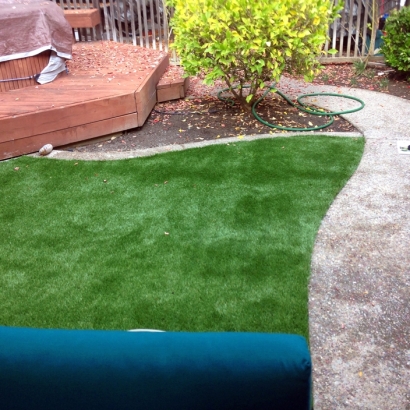 Outdoor Carpet Van Nuys, California Landscaping, Backyard Garden Ideas