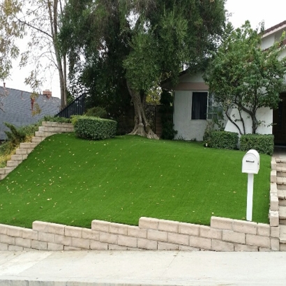 Plastic Grass Fellows, California Landscaping Business, Small Front Yard Landscaping