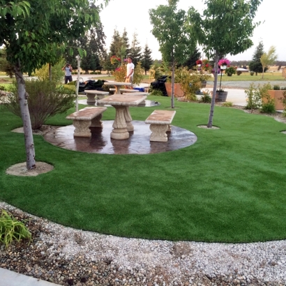 Plastic Grass Lennox, California Landscaping, Commercial Landscape