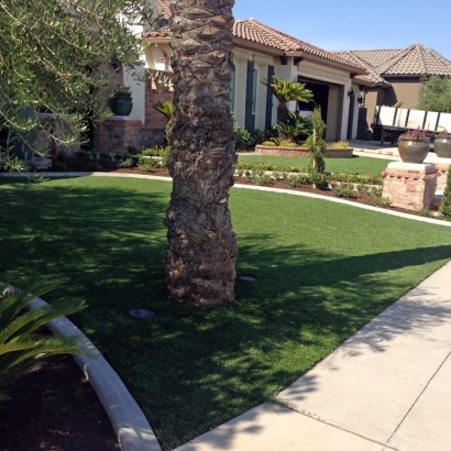 Plastic Grass South Pasadena, California Landscaping Business, Front Yard Landscape Ideas