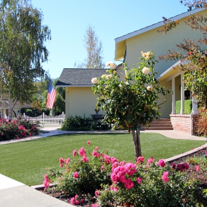 Plastic Grass Vincent, California Landscape Design, Front Yard Landscaping