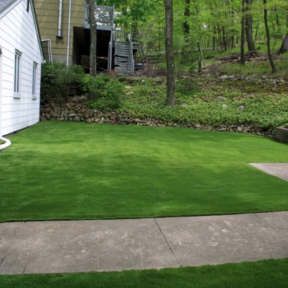 Plastic Grass Yorba Linda, California Landscaping, Front Yard Landscaping Ideas