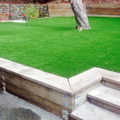 Synthetic Grass Cost Redondo Beach, California Landscape Ideas, Backyard Ideas