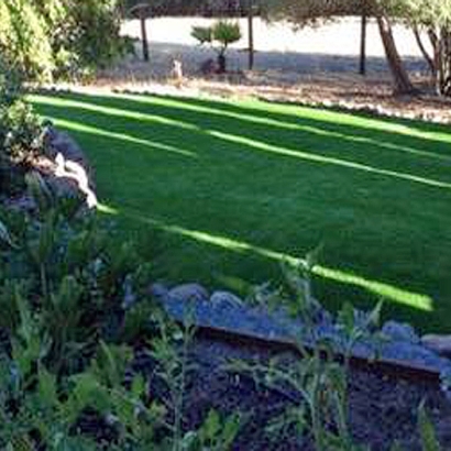 Synthetic Grass Cost Westwood, California Landscape Design, Backyard Ideas