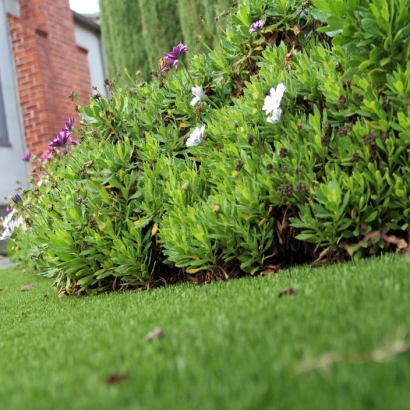 Synthetic Grass Santa Ynez, California Backyard Playground, Small Front Yard Landscaping