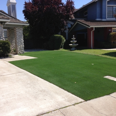 Synthetic Grass Signal Hill, California Garden Ideas, Front Yard Landscaping